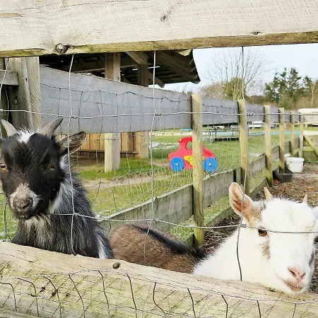 6 Person In Struer-by Traum Feriehus *